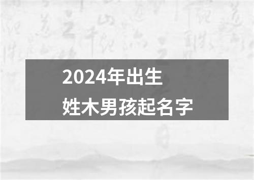 2024年出生姓木男孩起名字