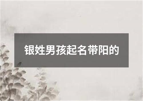 银姓男孩起名带阳的