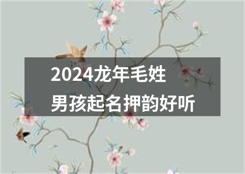 2024龙年毛姓男孩起名押韵好听