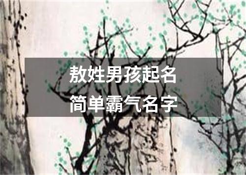 敖姓男孩起名简单霸气名字