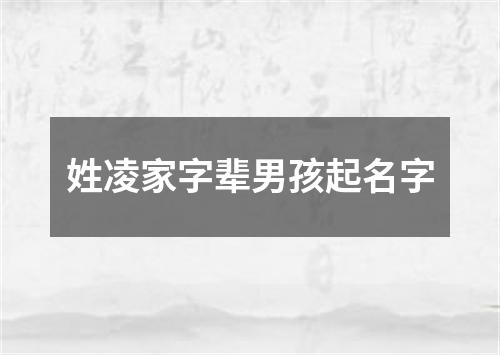 姓凌家字辈男孩起名字