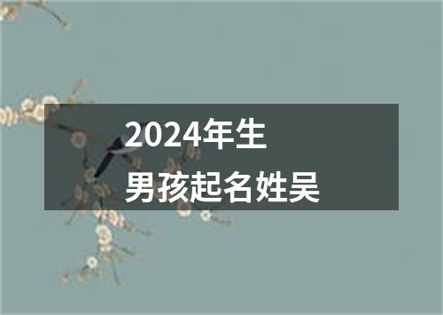 2024年生男孩起名姓吴