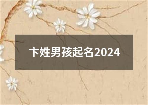 卞姓男孩起名2024