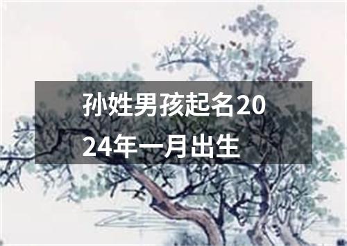 孙姓男孩起名2024年一月出生