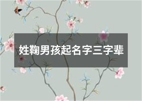 姓鞠男孩起名字三字辈