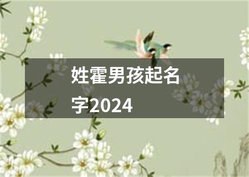 姓霍男孩起名字2024