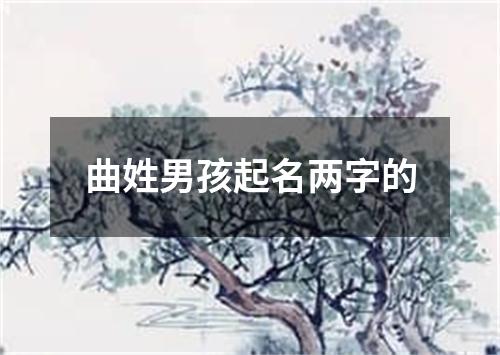 曲姓男孩起名两字的