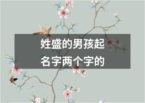 姓盛的男孩起名字两个字的