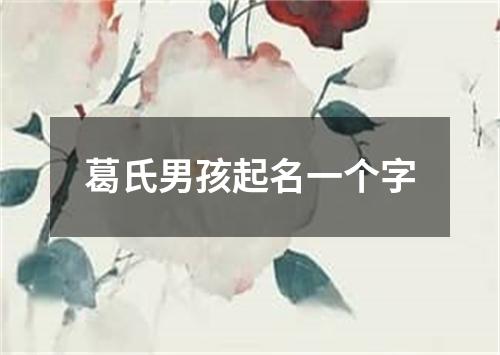 葛氏男孩起名一个字