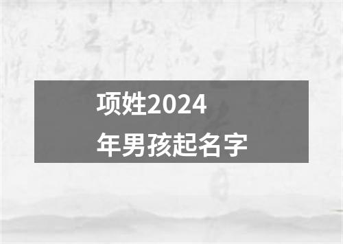 项姓2024年男孩起名字