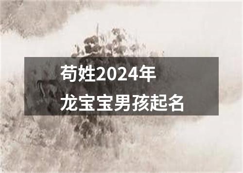 苟姓2024年龙宝宝男孩起名