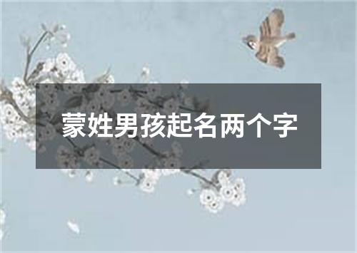 蒙姓男孩起名两个字