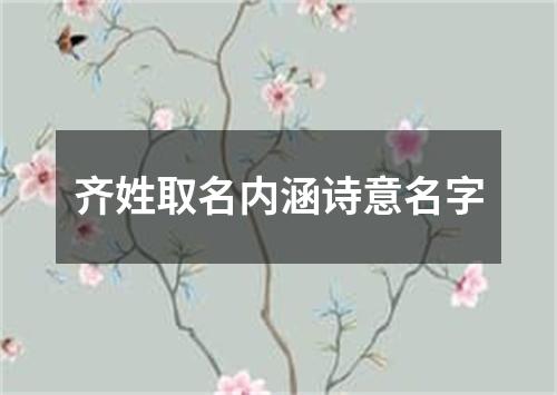 齐姓取名内涵诗意名字