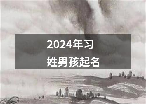 2024年习姓男孩起名