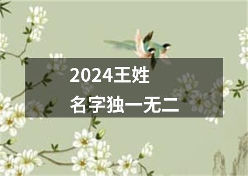 2024王姓名字独一无二