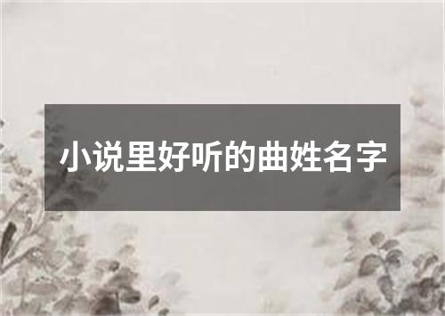 小说里好听的曲姓名字