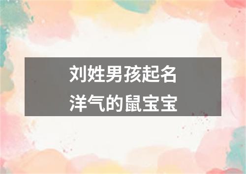 刘姓男孩起名洋气的鼠宝宝