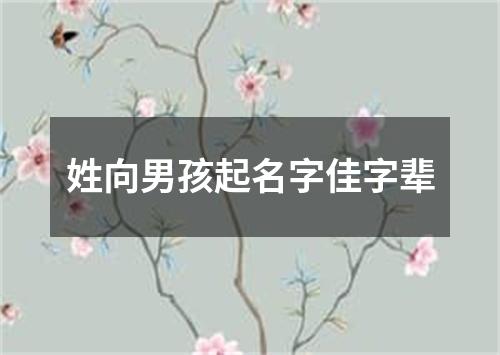 姓向男孩起名字佳字辈