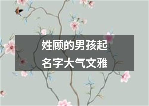 姓顾的男孩起名字大气文雅