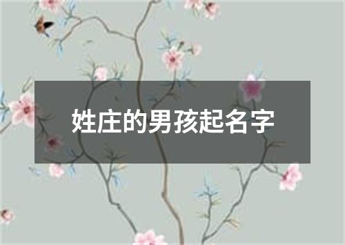 姓庄的男孩起名字