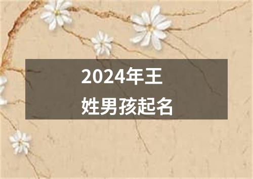 2024年王姓男孩起名