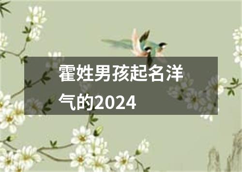 霍姓男孩起名洋气的2024