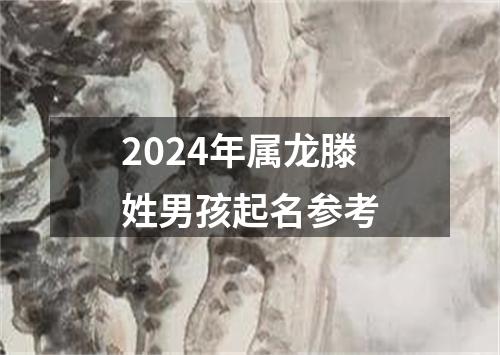 2024年属龙滕姓男孩起名参考