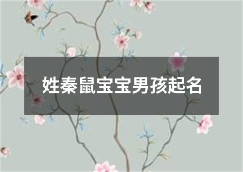 姓秦鼠宝宝男孩起名