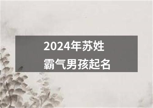 2024年苏姓霸气男孩起名