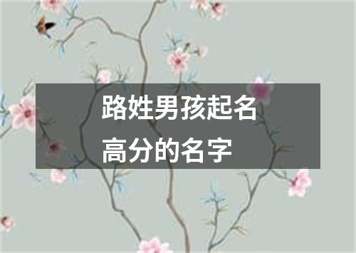 路姓男孩起名高分的名字