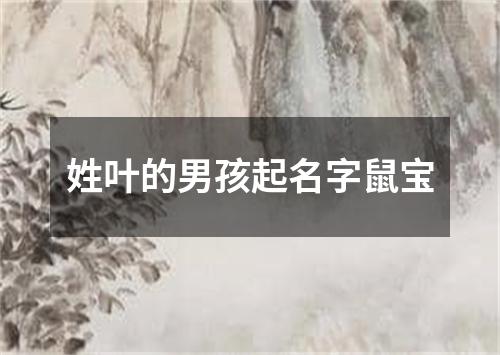 姓叶的男孩起名字鼠宝