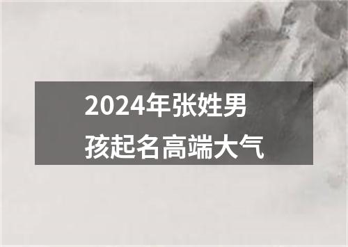 2024年张姓男孩起名高端大气