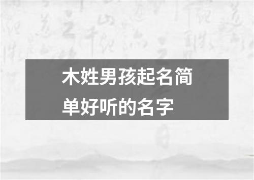 木姓男孩起名简单好听的名字