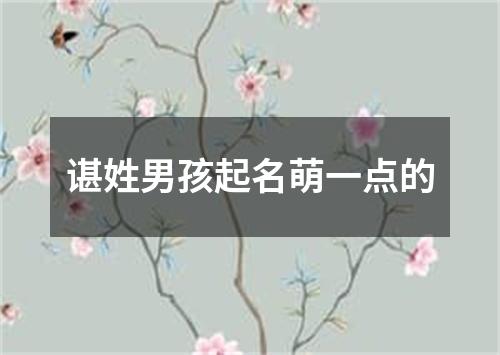 谌姓男孩起名萌一点的