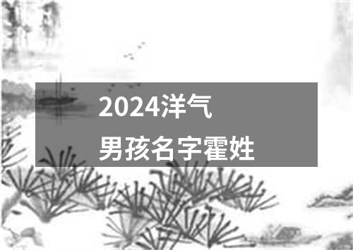 2024洋气男孩名字霍姓