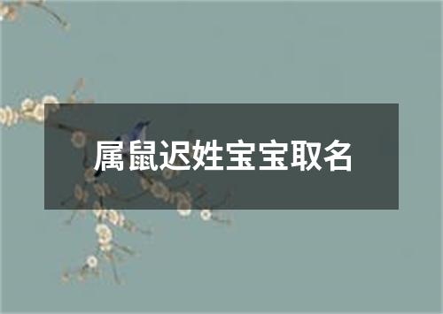 属鼠迟姓宝宝取名