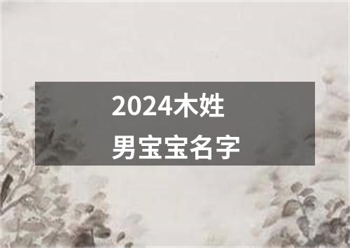 2024木姓男宝宝名字