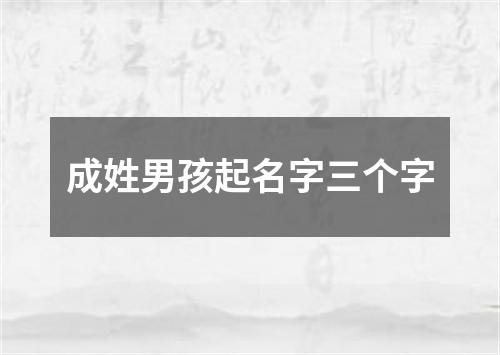 成姓男孩起名字三个字