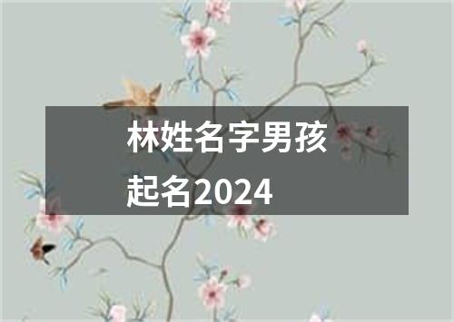 林姓名字男孩起名2024