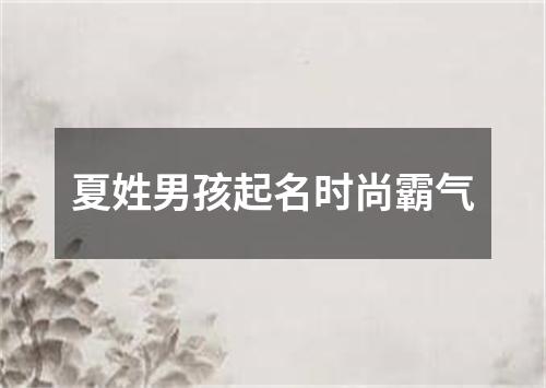 夏姓男孩起名时尚霸气