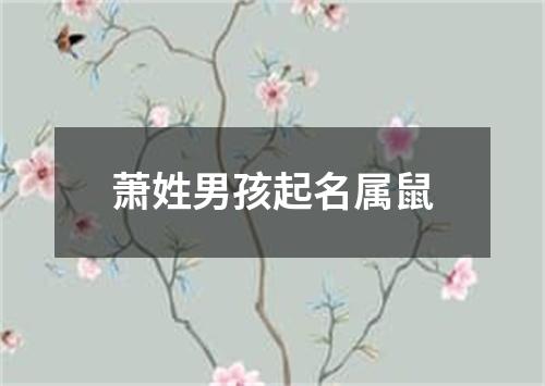 萧姓男孩起名属鼠