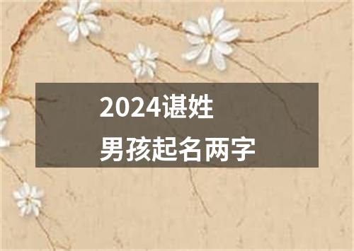 2024谌姓男孩起名两字