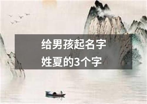 给男孩起名字姓夏的3个字