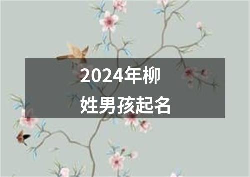 2024年柳姓男孩起名