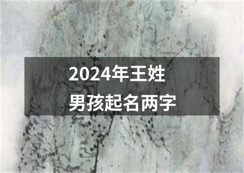 2024年王姓男孩起名两字