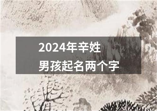 2024年辛姓男孩起名两个字