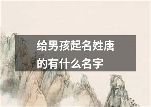 给男孩起名姓唐的有什么名字