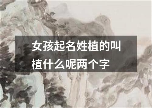 女孩起名姓植的叫植什么呢两个字