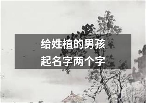 给姓植的男孩起名字两个字