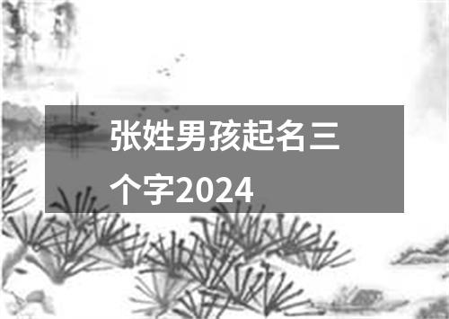 张姓男孩起名三个字2024